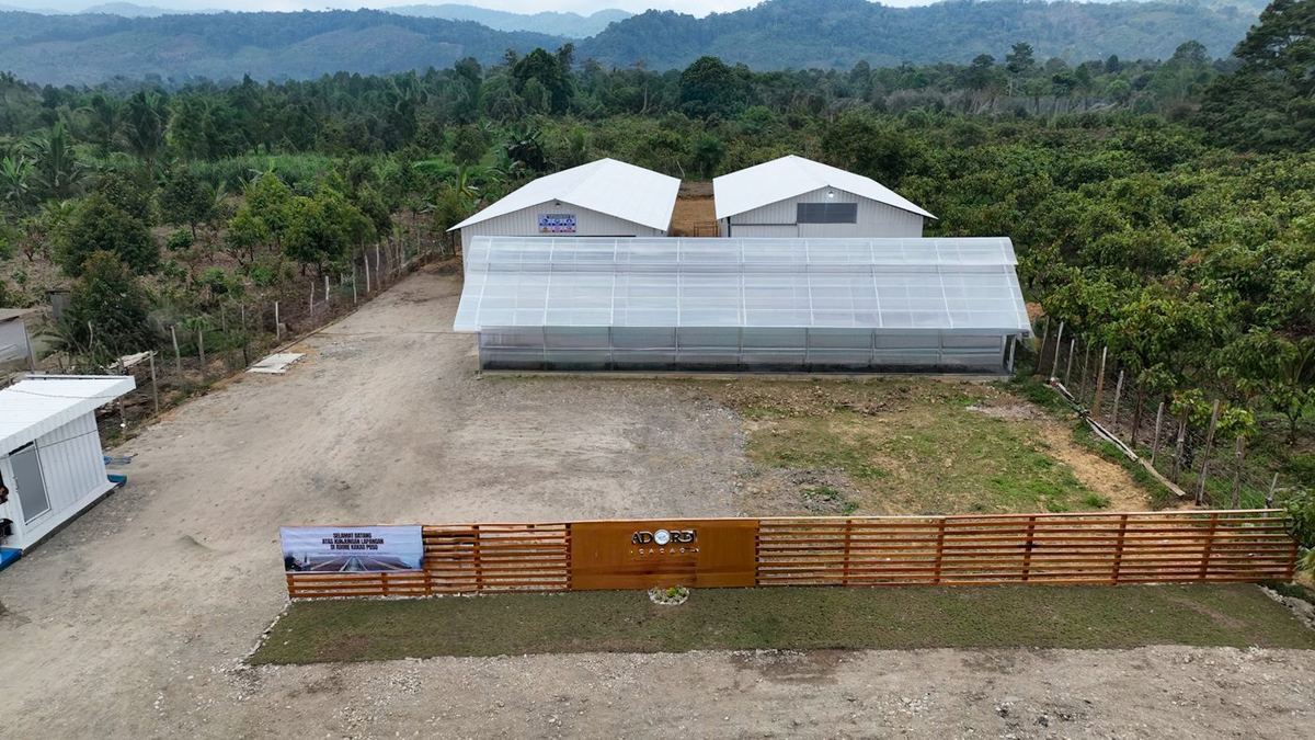 Adore vanilla processing facility in Sulawesi