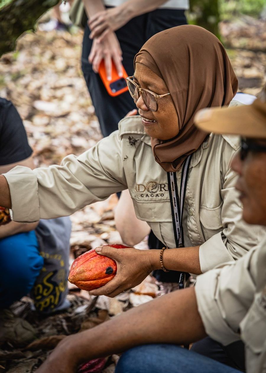 Farmers and processing teams working with Adore
